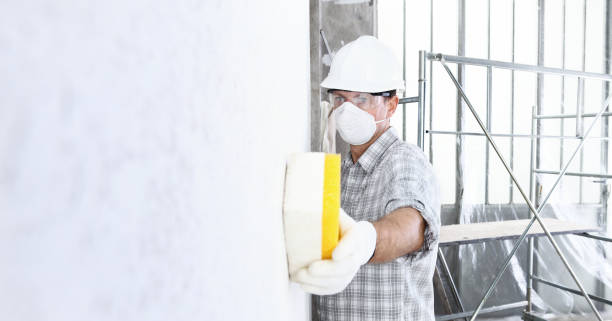 Best Emergency Mold Remediation  in Valrico, FL